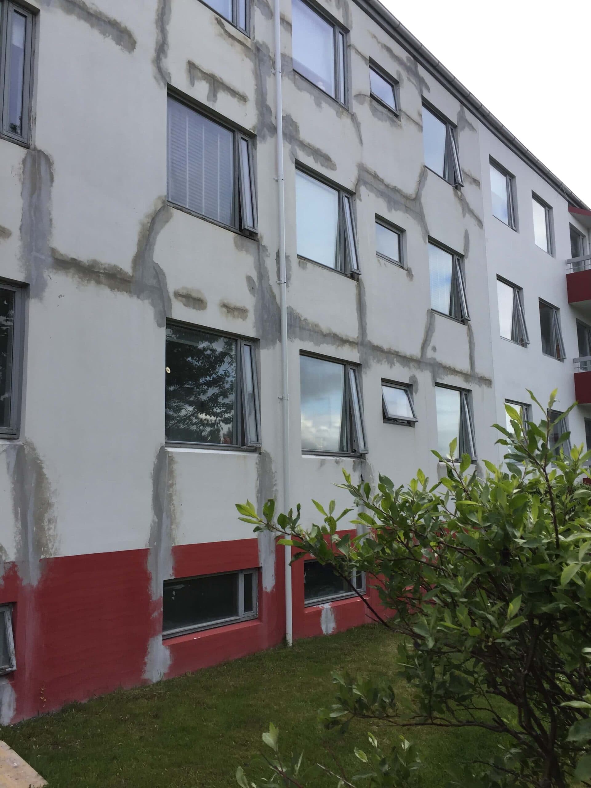 Litaverk verkefni